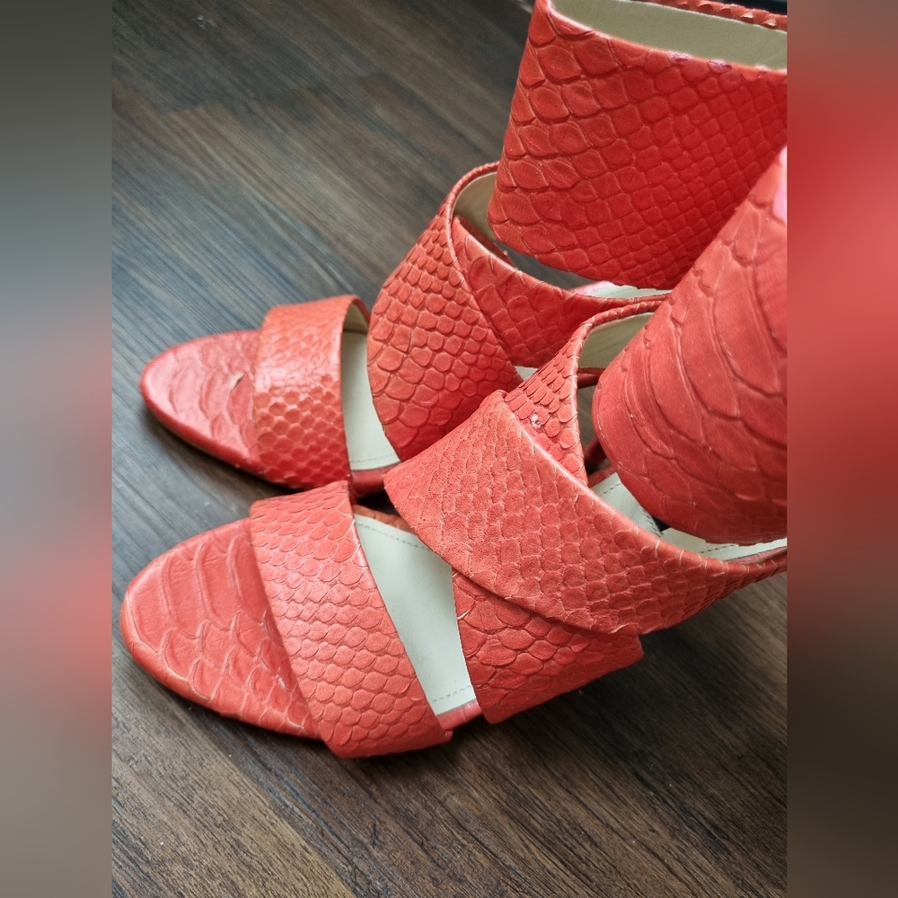 Snake Embossed Shoes